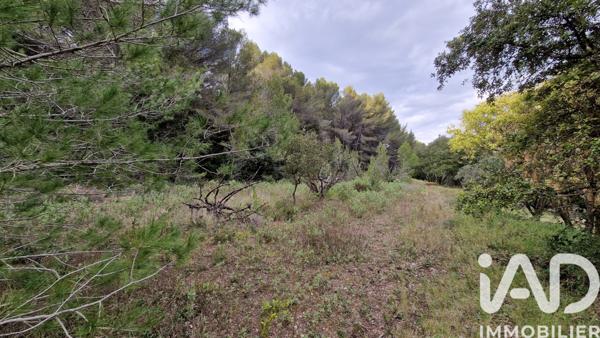 Terrain à vendre 7 260 m² Lédenon