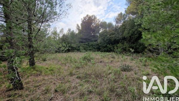 Terrain à vendre 7 260 m² Lédenon