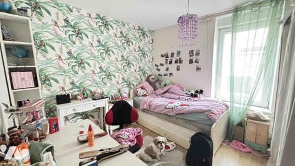 Maison 3 chambres jardin