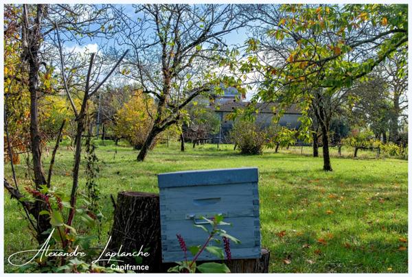 Dpt Tarn et Garonne (82), à vendre domaine en bordure de Tarn - Authentique Maison de Maître des années 30 par Joseph GILET