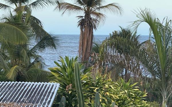 Appartement à vendre    3 pièces • 58,70 m2 Cayenne