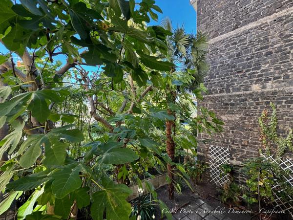 CHAMALIÈRES – MAISON DE FAMILLE EN PIERRE – 215 M² – 5 CHAMBRES – JARDINET – GARAGE
