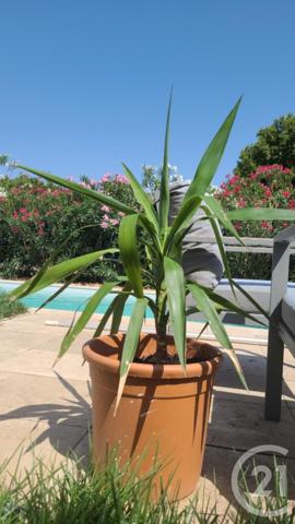 Maison à vendre  5 pièces - 95 m2 RAPHELE LES ARLES - 13