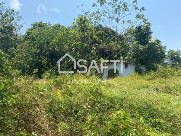 Terrain constructible - Larivot