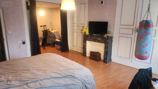 Maison à vendre à Montoire-sur-le-Loir dans le Loir-et-Cher (41800), ref : 41059-964