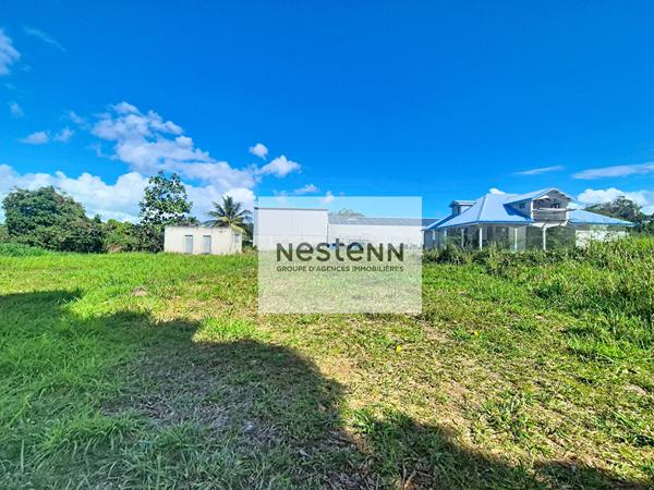 A VENDRE UN TERRAIN A BATIR DE 800 m2 à SAINTE-ROSE.