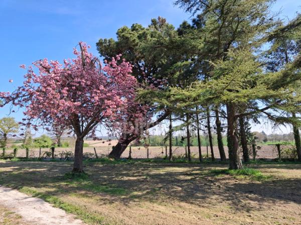 Maison à vendre 6 pièces PONTORSON (50)