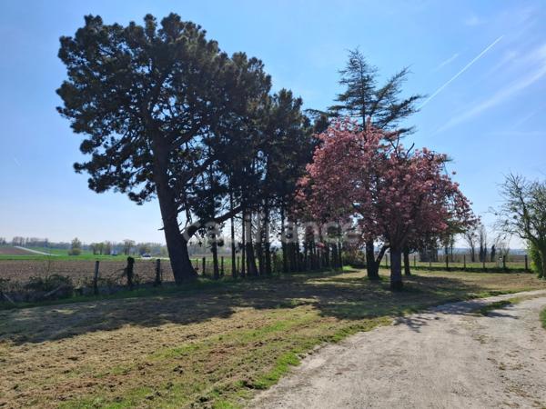 Maison à vendre 6 pièces PONTORSON (50)