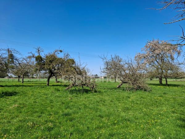 Maison à vendre 6 pièces PONTORSON (50)