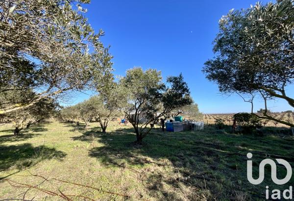 Terrain à vendre 7 264 m² Marseillan