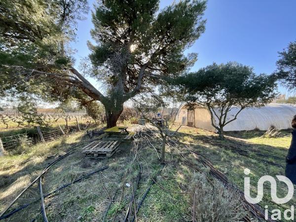 Terrain à vendre 7 264 m² Marseillan