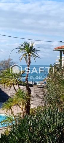 Face à l'océan, plage de la Milady Biarritz