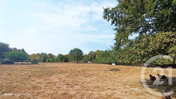 Maison à vendre  5 pièces - 162 m2 LACOURT ST PIERRE - 82