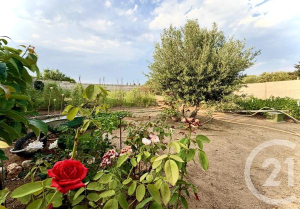 Terrain à vendre  1314 m 2   NARBONNE  - 11