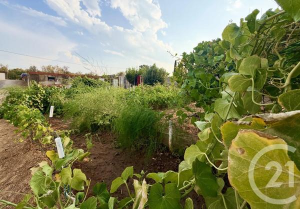 Terrain à vendre  1314 m 2   NARBONNE  - 11