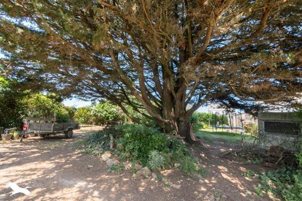 Maison à vendre |  Plouénan |  7 pièces | 128 m²