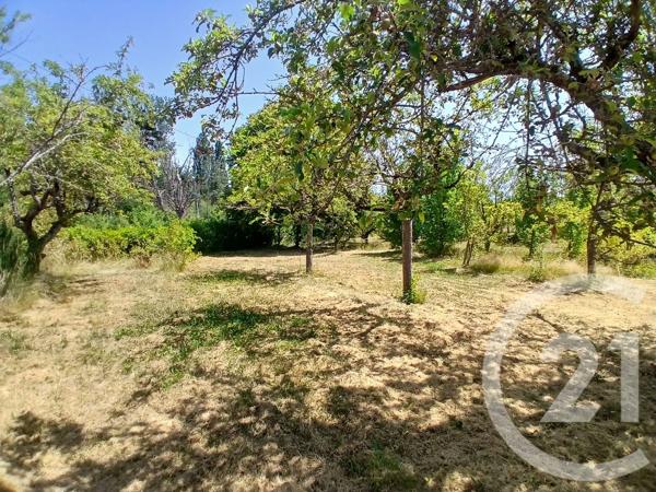 Terrain à vendre  1122 m 2   AUDES  - 03