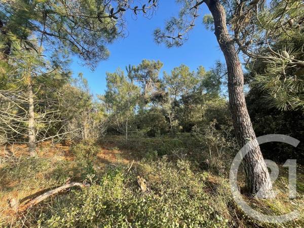 Terrain à vendre  1100 m2 ST HILAIRE DE RIEZ - 85