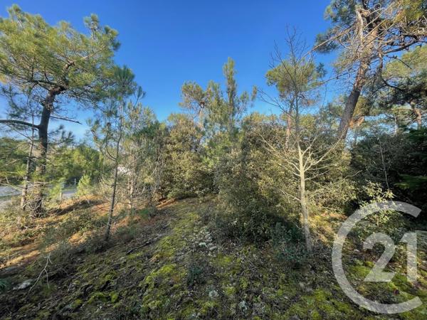 Terrain à vendre  1100 m2 ST HILAIRE DE RIEZ - 85