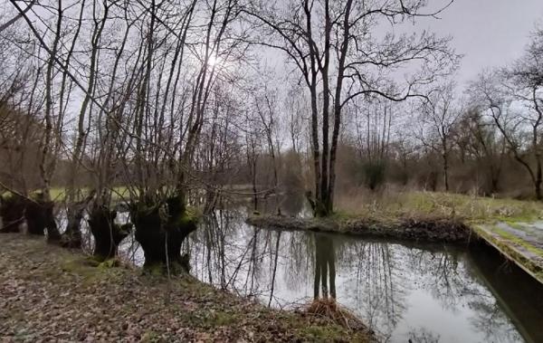 Vente Terrain Saint-hilaire-la-palud   