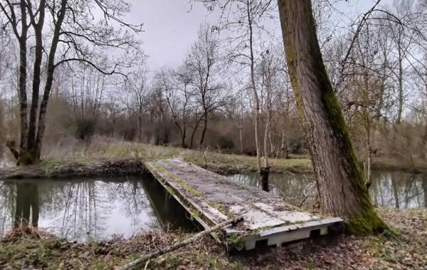 Vente Terrain Saint-hilaire-la-palud   