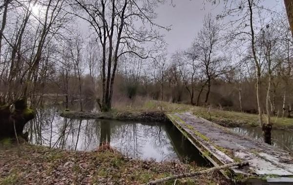 Vente Terrain Saint-hilaire-la-palud   