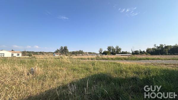 Terrain Jaunay-Marigny 1621 m2