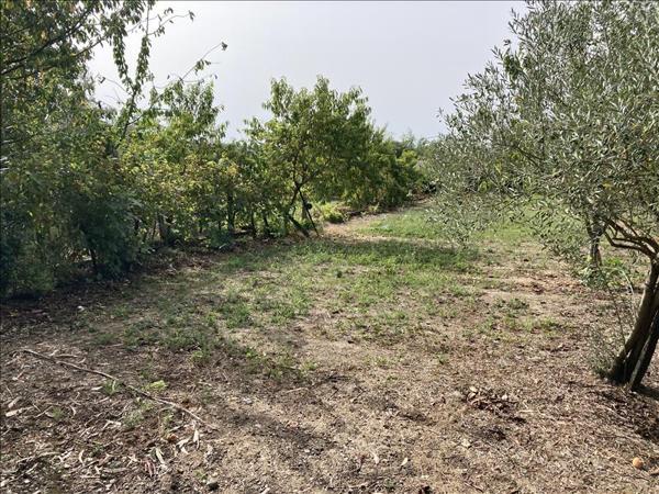 Maison à vendre |  Gondrin |  6 pièces | 111 m²