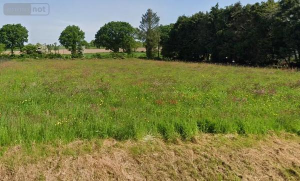 Achat - Terrain à bâtir Trébrivan 22340 1400 m 2