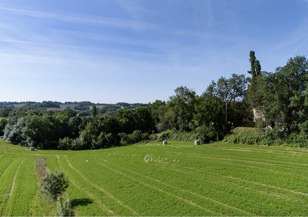 Terrain - 1371 m²