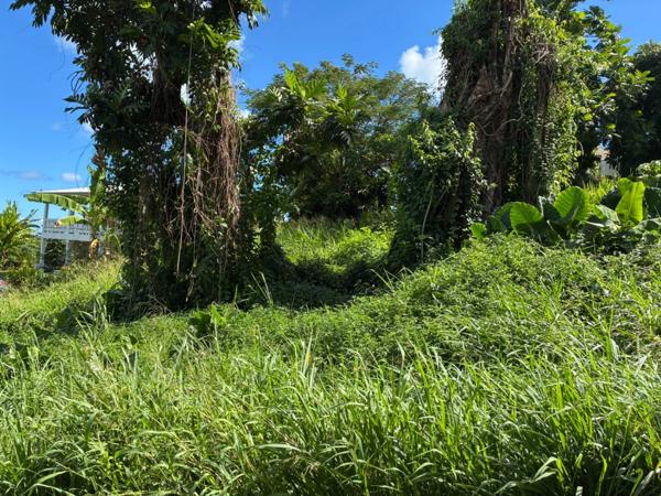 Terrain à vendre LA TRINITE (972)