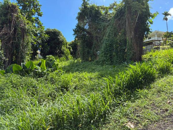 Terrain à vendre LA TRINITE (972)