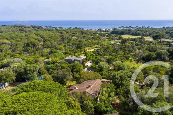 Maison à vendre  5 pièces - 137,24 m 2   PORTO VECCHIO  - 201