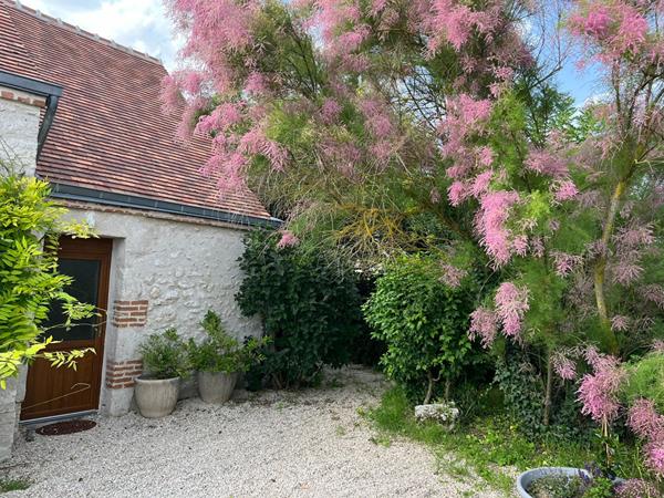 Maison Saint-ay 8 pièce(s) 209 m2