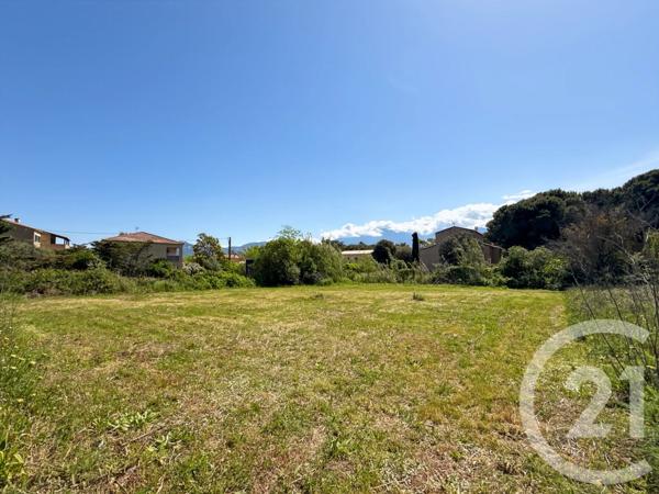 Terrain à vendre  1105 m 2   CALENZANA  - 202