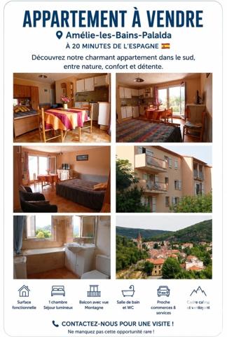 Studio à vendre 28 m² Amélie-les-Bains-Palalda