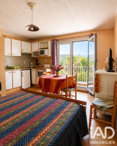 Studio à vendre 28 m² Amélie-les-Bains-Palalda