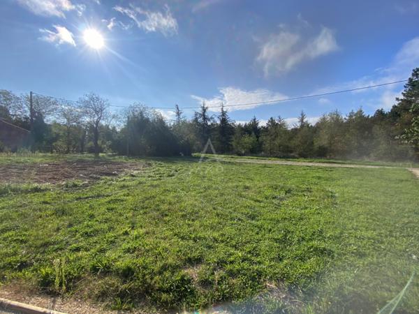 Achat vente Terrain Villematier