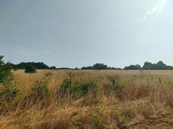 TERRAIN AGRICOLE 5.60 HECTARES