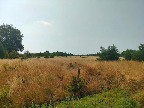 TERRAIN AGRICOLE 5.60 HECTARES