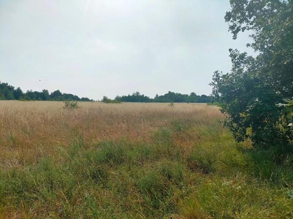 TERRAIN AGRICOLE 5.60 HECTARES