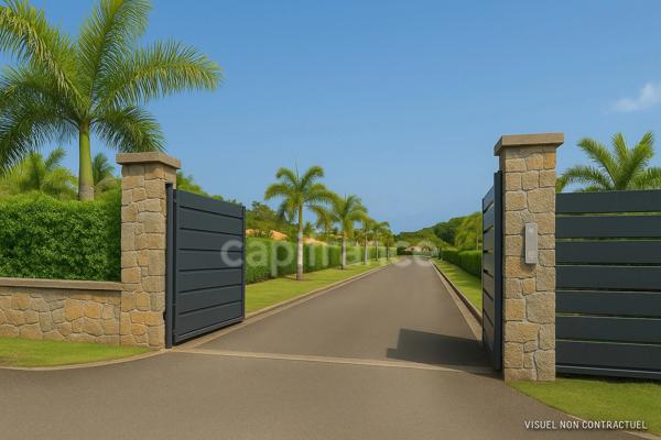 Terrain d’exception à Saint-François (971), lotissement de 5 lots, terrain viabilisé, étude de sol réalisée