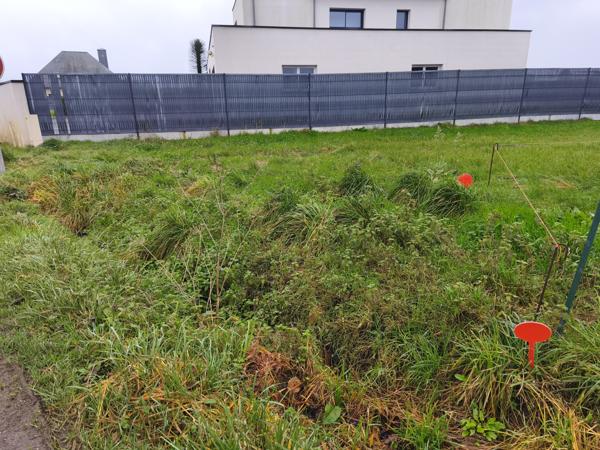 Terrain - 4236 m² Exclusivité efficity