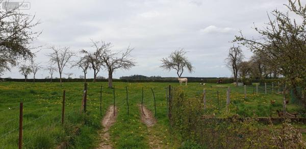 Terrain à Batir à vendre à Callengeville en Seine-Maritime (76270), ref : 61