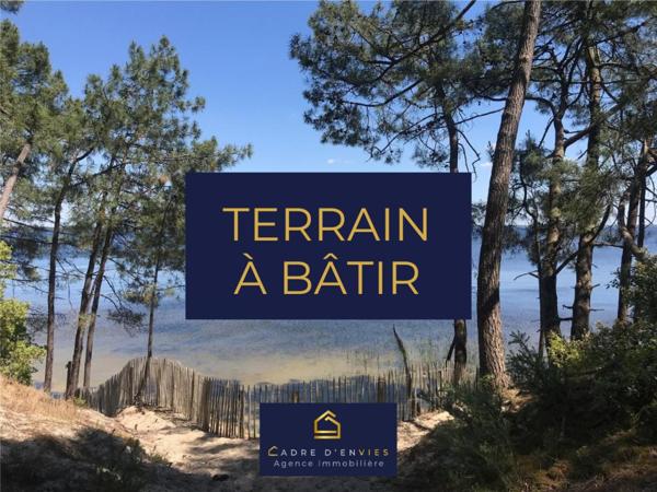Terrain