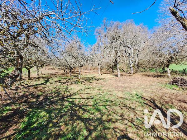 Terrain à vendre 1 164 m² Teissières-de-Cornet