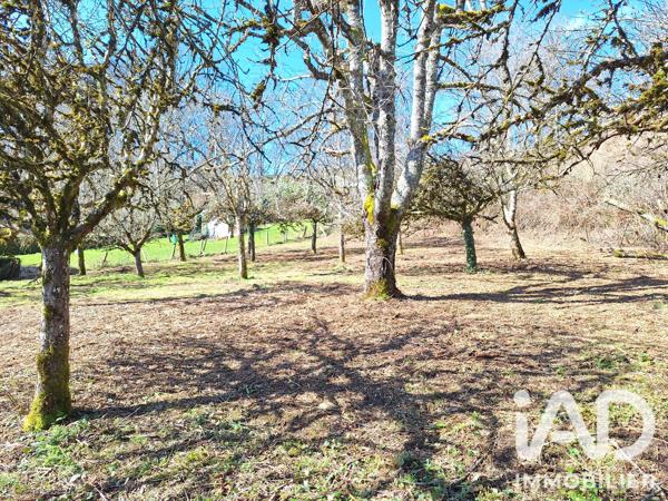 Terrain à vendre 1 164 m² Teissières-de-Cornet
