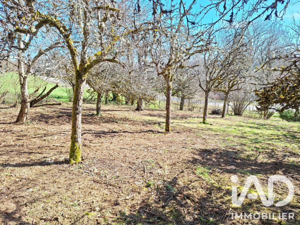Terrain à vendre 1 164 m² Teissières-de-Cornet