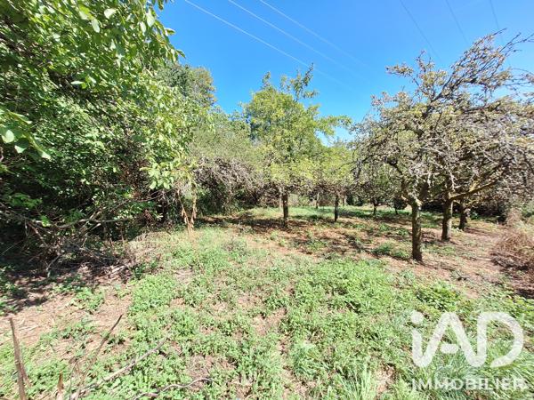 Terrain à vendre 1 164 m² Teissières-de-Cornet