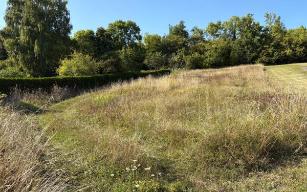 Terrain à vendre    Chamouille